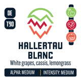 Hallertau Blanc Hop Profile: Green Fruit, Berry & Currant, Citrus