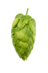 Hallertau Blanc Whole Cone