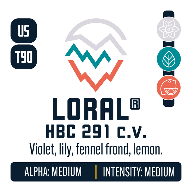 Loral Hop Profile: Floral, Herbal, Citrus