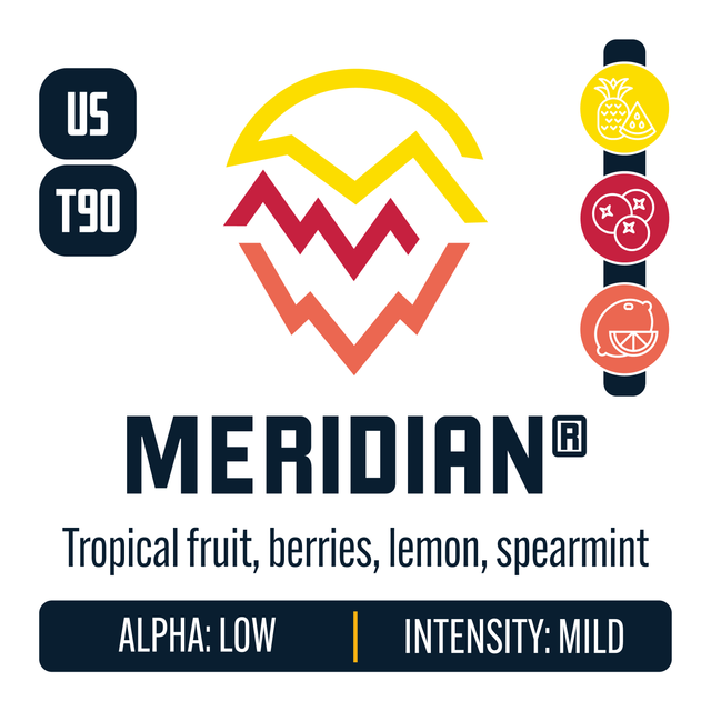 Meridian Hop Profile: Sweet Fruit, Berry & Currant, Citrus