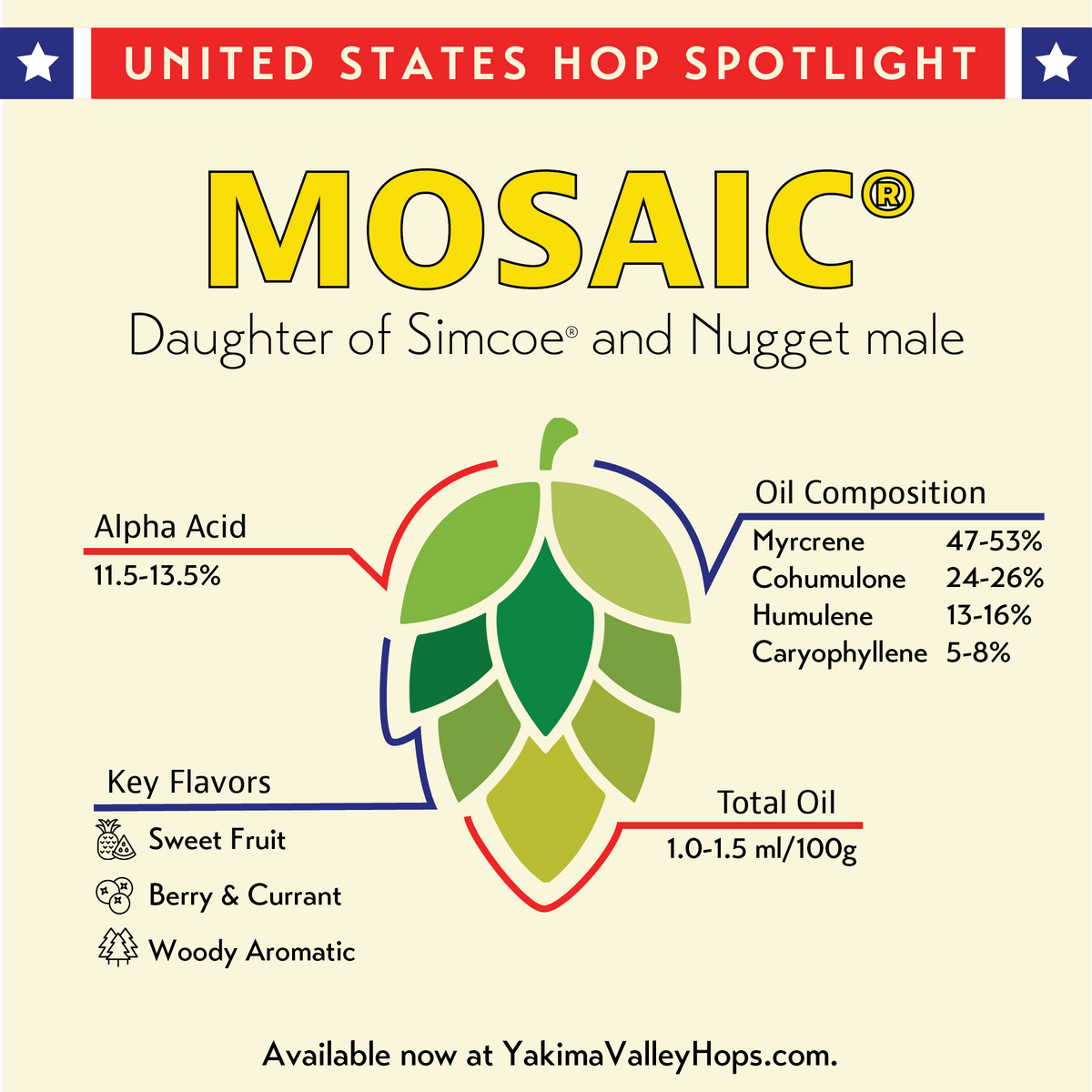 Mosaic Spotlight