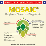 Mosaic Spotlight