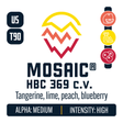 Mosaic Hop Profile: Citrus, Sweet Fruit, Berry & Currant