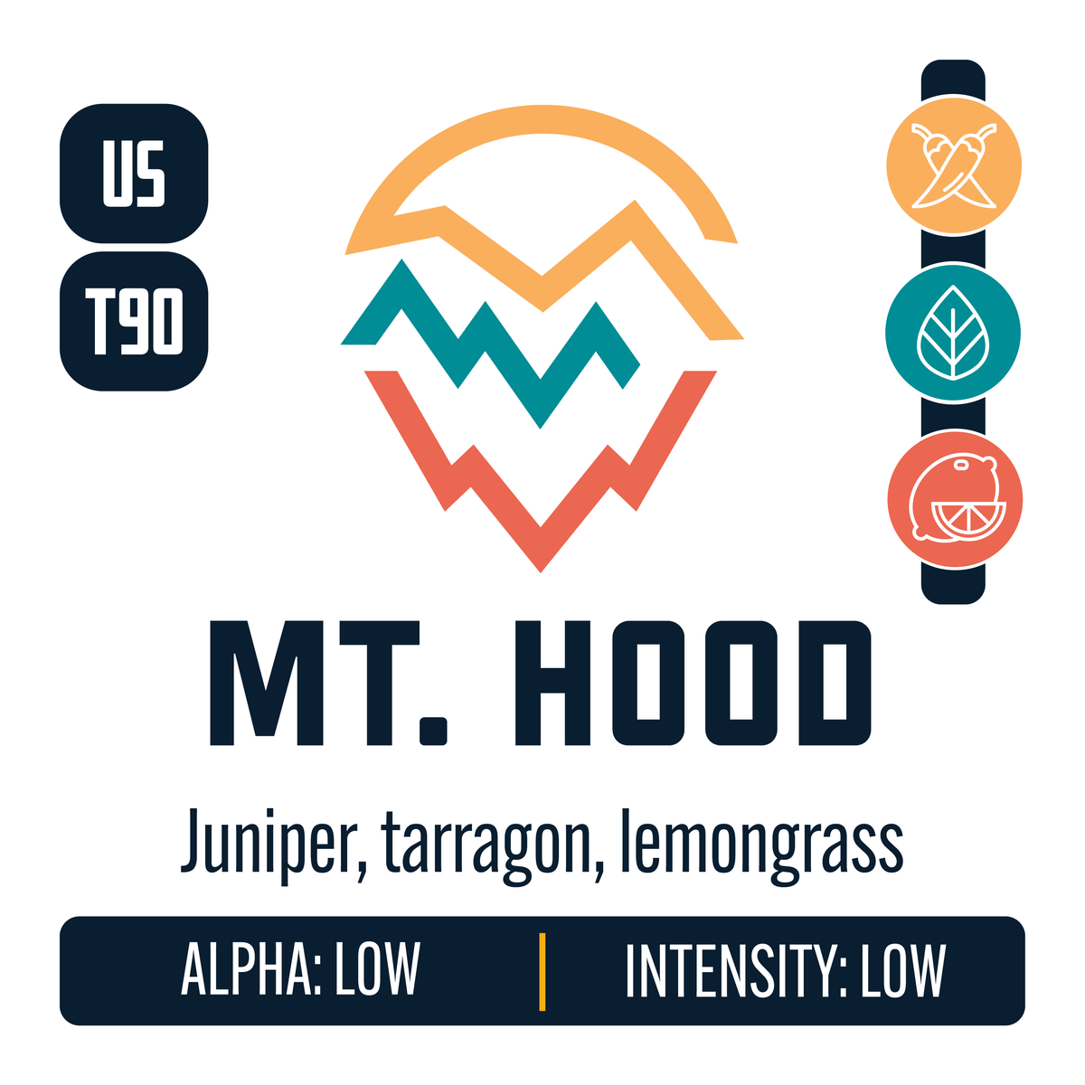 Mount Hood Hop Profile: Spicy, Herbal, Citrus