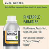 Pineapple Paradise Euphorics