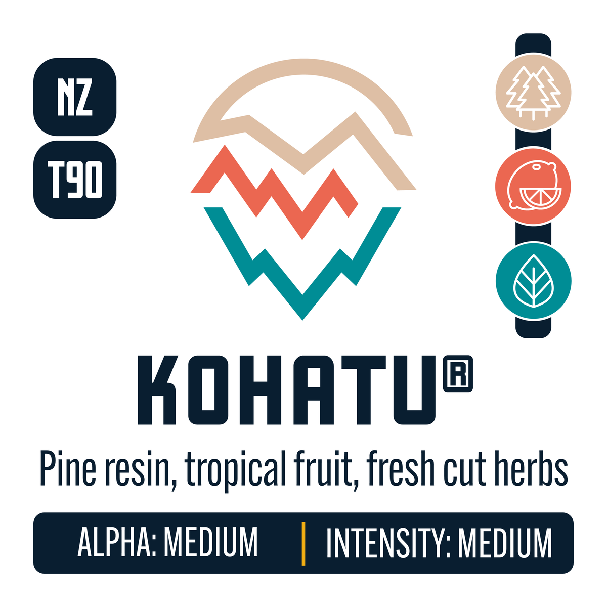 New Zealand Kohatu Hop Profile: Woody Aromatic, Citrus, Herbal