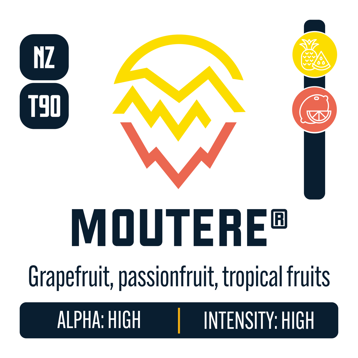 New Zealand Moutere Hop Profile: Sweet Fruit, Citrus