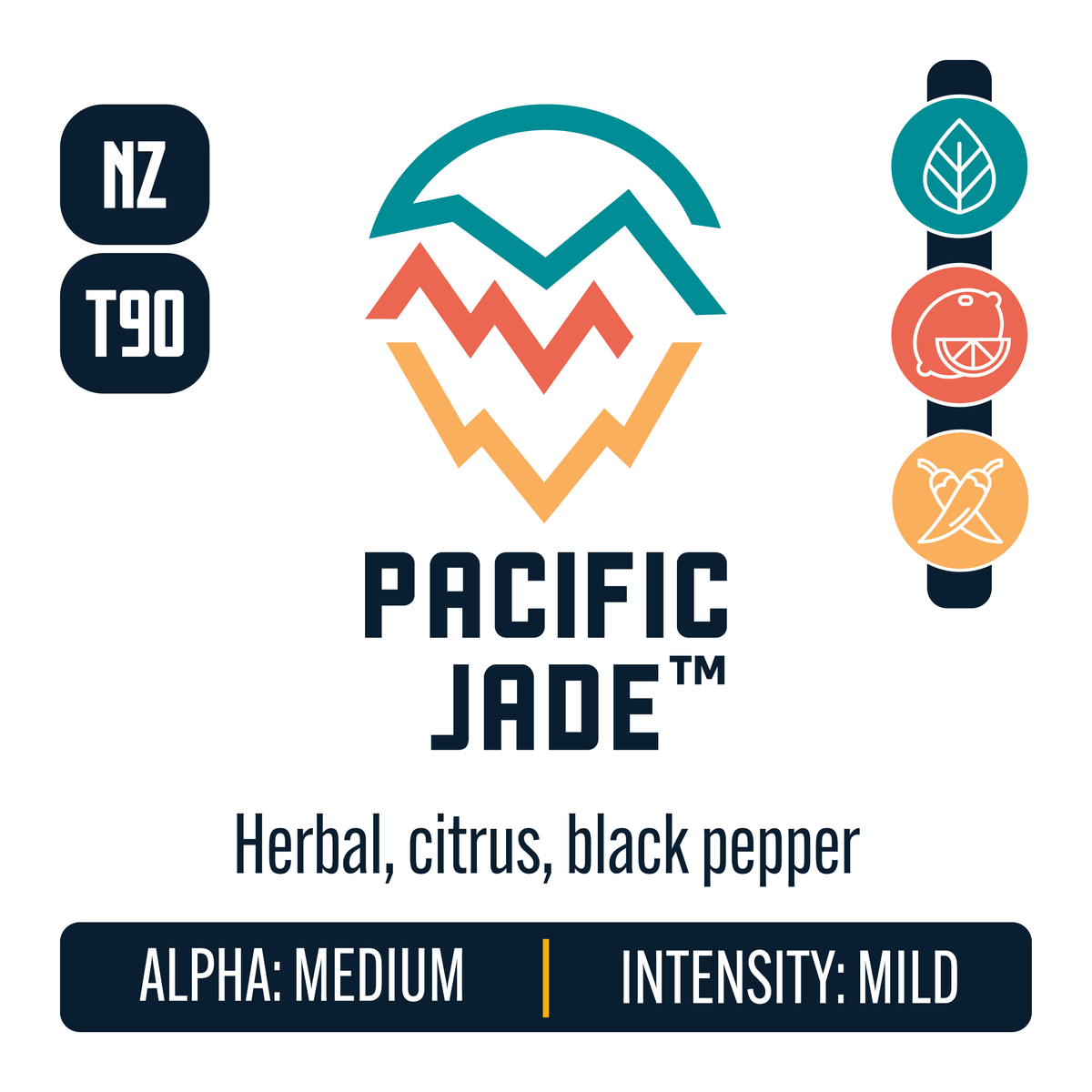 New Zealand Pacific Jade Hop Profile: Herbal, Citrus, Spicy