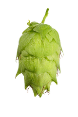 Nugget Whole Cone