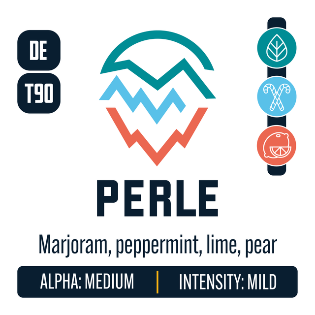 Perle Hop Profile: Herbal, Menthol, Citrus
