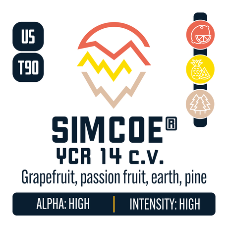 Simcoe Hop Profile: Citrus, Sweet Fruit, Woody Aromatic