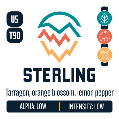 Sterling Hop Profile: Herbal, Citrus, Spicy