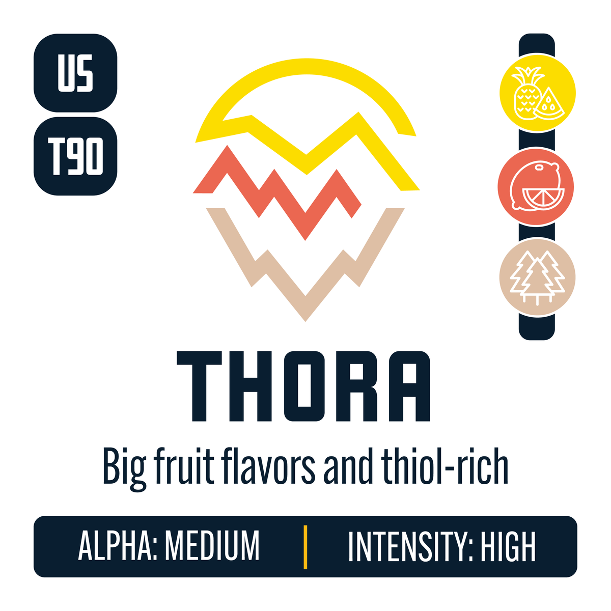 Thora Hop Profile: Sweet Fruit, Citrus, Woody Aromatic