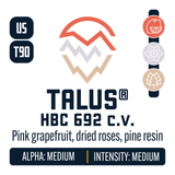 Talus HBC 692 Hop Profile: Citrus, Floral, Woody Aromatic