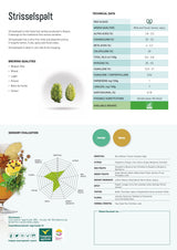 Strisselspalt Hop Flavor Profile