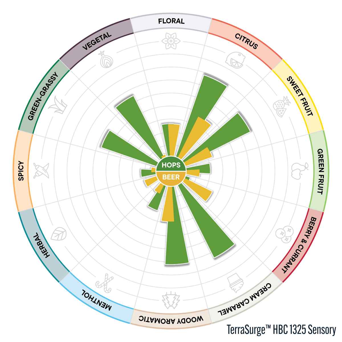 TerraSurge HBC 1325 Hop Profile: Citrus, Sweet Fruit, Cream Caramel, Woody Aromatic
