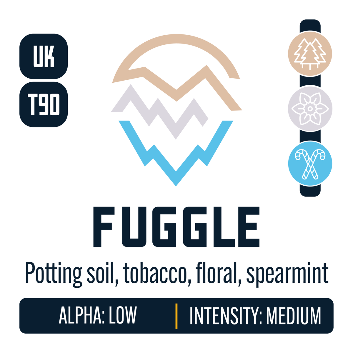 UK Fuggle Hop Profile: Woody Aromatic, Floral, Menthol