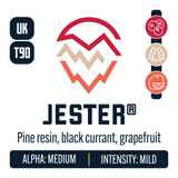 UK Jester Hop Profile: Berry & Currant, Woody Aromatic, Citrus