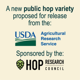 Vera Hops USDA