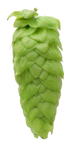 Vic Secret Hop Cone