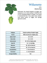Willamette Hop Companion
