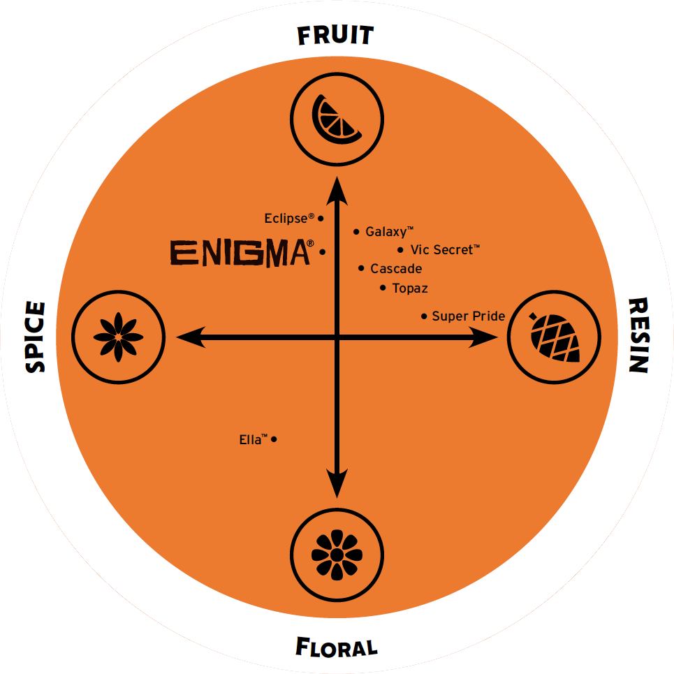 Enigma Flavor Spectrum