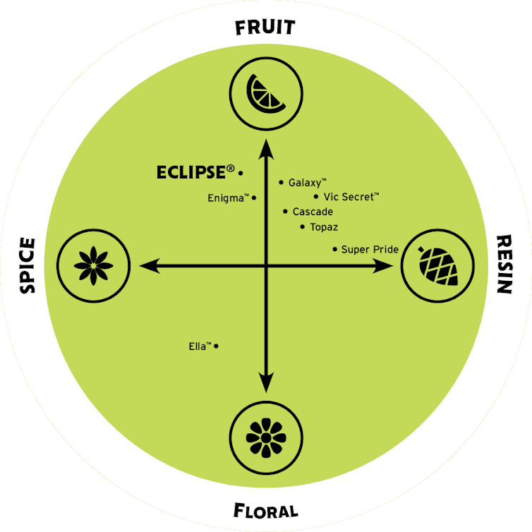 Eclipse Flavor Spectrum
