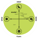 Eclipse Flavor Spectrum