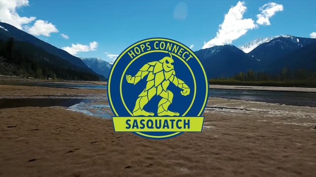 Sasquatch Promo