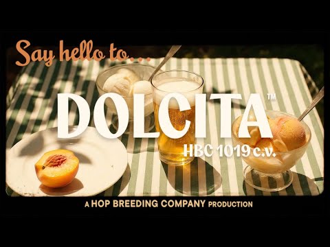 Introduction video for Dolcita HBC 1019 cv Hops