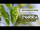 TerraSurge HBC 1325 Hops
