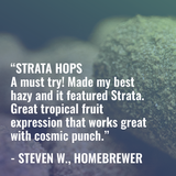 Strata Review