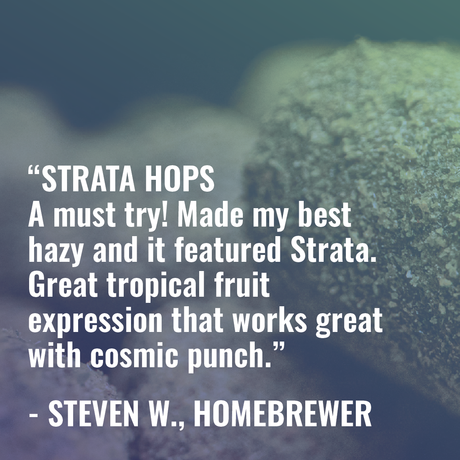 Strata Review