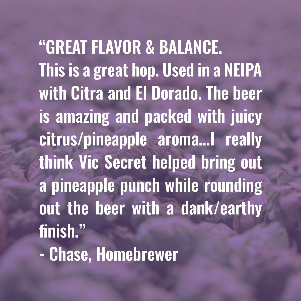 Vic Secret Hop Review