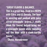 Vic Secret Hop Review