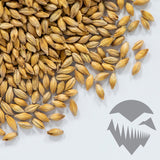 Goldpils Vienna Malt