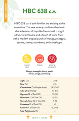 HBC 638 Data Sheet