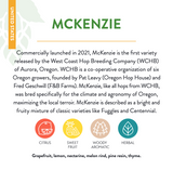 Mckenzie Hop Companion Sheet