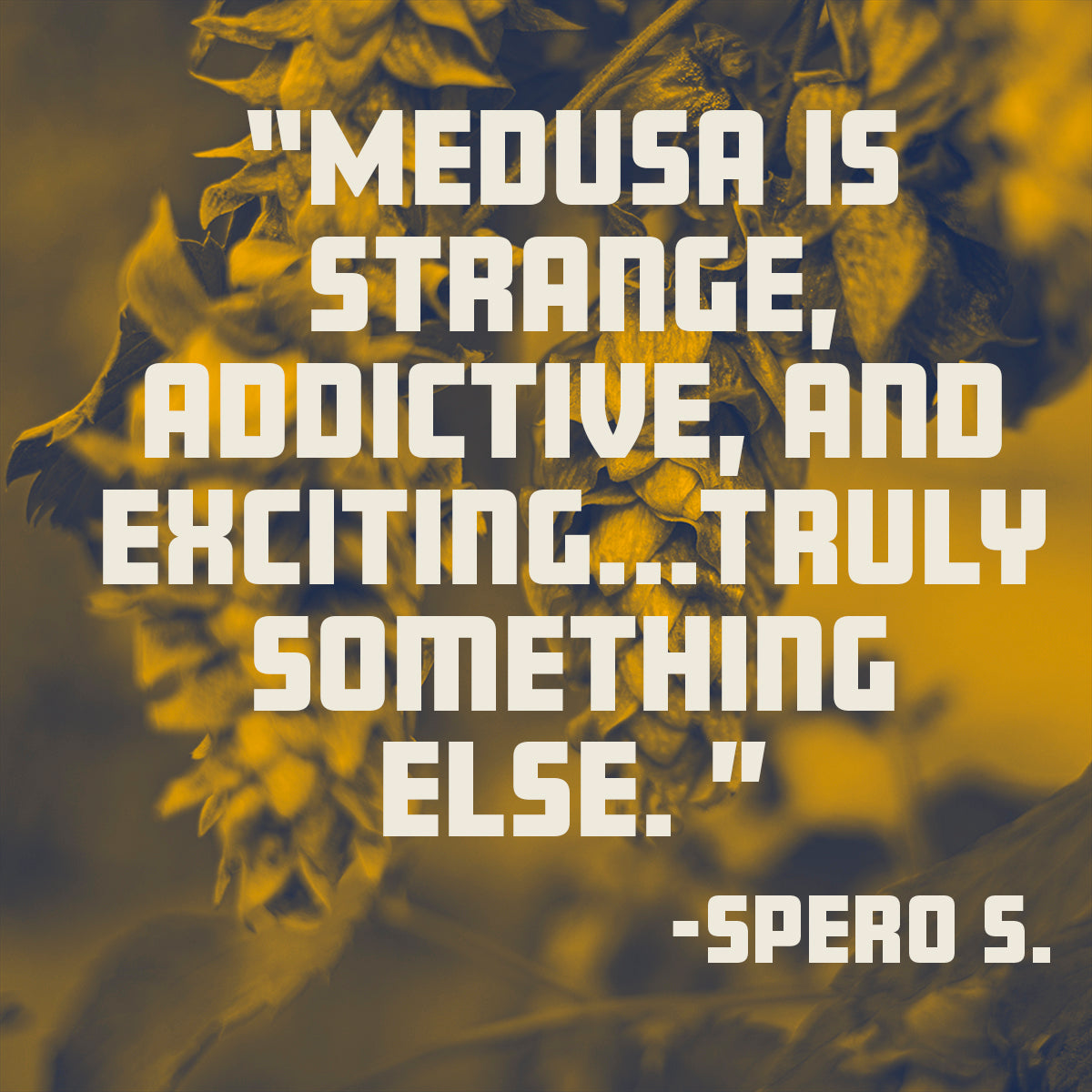 Medusa Hop Review